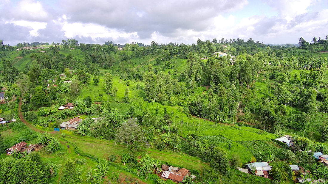 KENIA MUGAYA AB